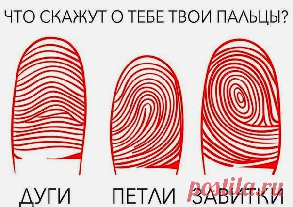 Всё самое интересное!: ШТРИХ - КОД СУДЬБЫ Что означает каждый узор на твоем пальце?