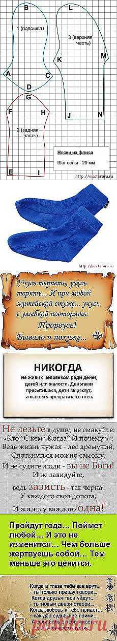 Калипта Анны - крохотный представитель... и другие популярные материалы на Постила.ru - shaporeva.valentina@mail.ru - Почта Mail.Ru