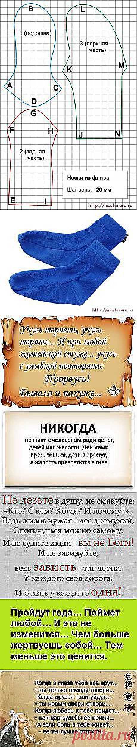 Калипта Анны - крохотный представитель... и другие популярные материалы на Постила.ru - shaporeva.valentina@mail.ru - Почта Mail.Ru