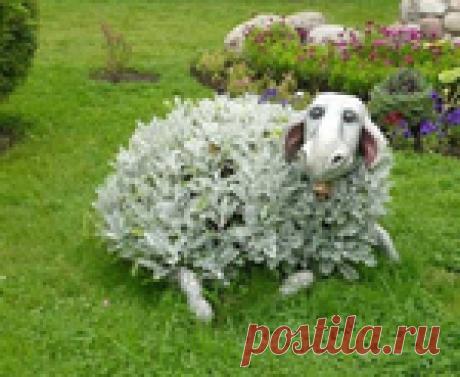 Соль, СОДА, дрожжи, МОЛОКО, кефир, ГОРЧИЦА, кока-кола: ДАЧНИКАМ в саду и ОГОРОДЕ.