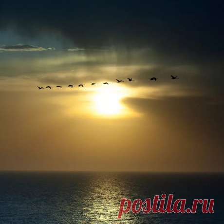 летит летит по небу клин усталый