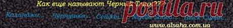 У чудесного и полезного растения черный тмин существует масса других названий, особенно это зависит от региона. Так давайте узнаем как же еще называют Черный Тмин в мире. Итак, начнем перечен: кумин, римский кориандр, нигелла сатива, Чернушка посевная, Сейдан, Калинджи, Nigella Sativa... Источник: Блог о красоте и здоровье интернет магазина АльСаха Украина www.alsaha.com.ua