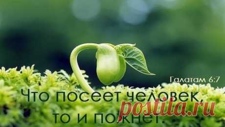 (71) Одноклассники
