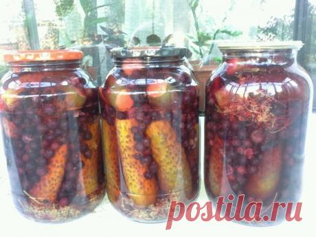 Маринованные огурцы с черной смородиной - Простые рецепты Овкусе.ру