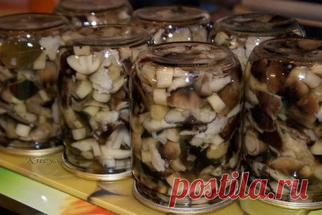 Маринуем очень вкусные грибы сами. Больше магазинные моя семья не покупает! 

Ингредиенты:
грибы — 1 кгчеснок — 2 зубчикасоль — 2 столовые ложкиуксус — 4 столовые ложкисахар — 1 столовая ложкалавровый листперец
Приготовление:

Грибы моем, чистим и отвариваем пару минут.Отцежи…