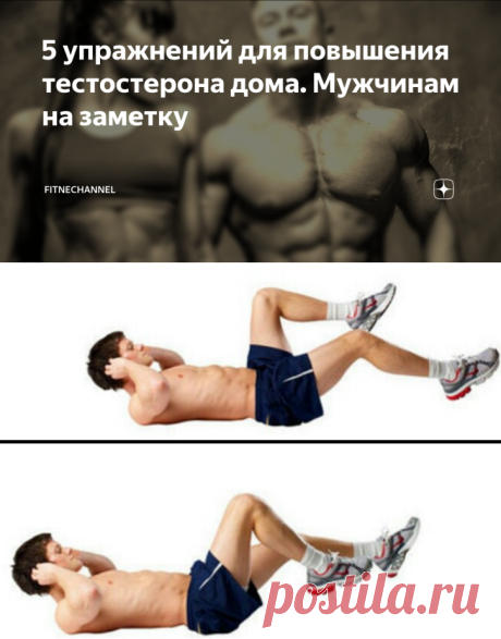 5 упражнений для повышения тестостерона дома. Мужчинам на заметку | fitnechannel | Яндекс Дзен