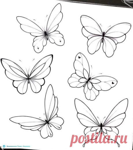 🦋🌶 Эскизы для вышивки: бабочки и жучки