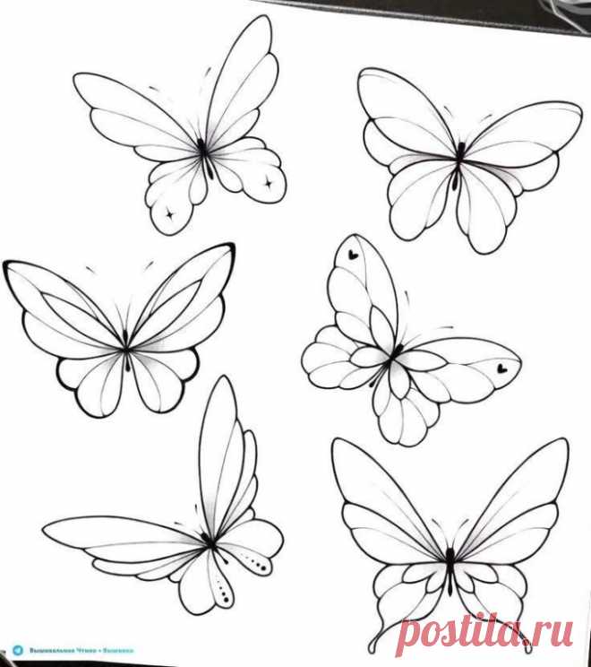 🦋🌶 Эскизы для вышивки: бабочки и жучки