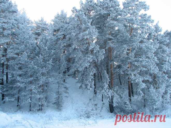 ФОТОМАСТЕРСКАЯ ПРИРОДЫ
Лариса Синицына (Кривкова)