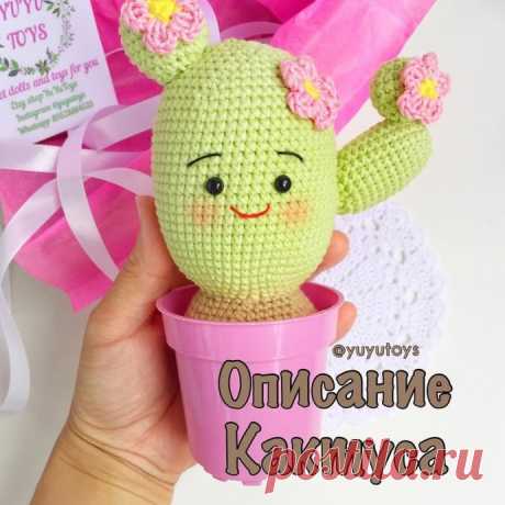 Вязаный кактус