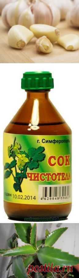 Средства и травы при вирусе папилломы.