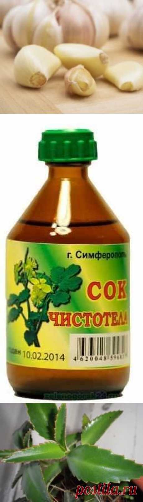 Средства и травы при вирусе папилломы.