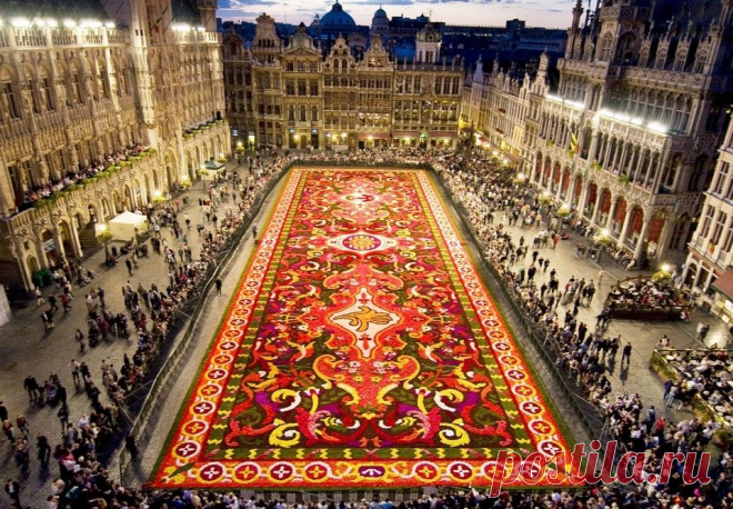 брюссель праздник цветов 2015 - Поиск в Google