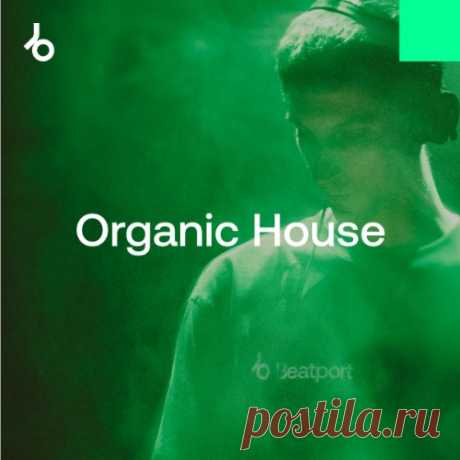 BEATPORT 2025's Best Tracks (so far) Organic House - 320KBPSHOUSE.NET ARTIST: Various RELEASE TITLE: BEATPORT 2025’s Best Tracks (so far) Organic House GENRES: Organic House DATE CREATED: 2025-07-08 QUALITY: MP3 320kbps CBR 44.1 kHz PRIVATE DOWNLOAD HOUSEBOX FILECAT 1st track preview: 100 TRACKS: Above & Beyond – Surge (PROFF & Igor Garanin Extended Mix) 8:45 Adrian Saguna – Pana Cand Nu Te Iubeam (Original Mix) […]