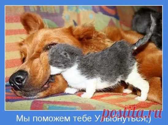 Позитивчик! Мы поможем тебе улыбнуться! http://dari-radost-13.ru/muz/pozitiv17.html