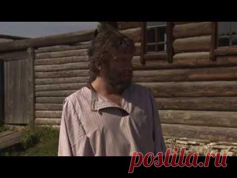 Золотой полоз