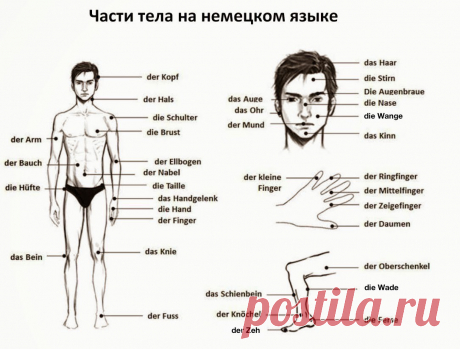 Новости