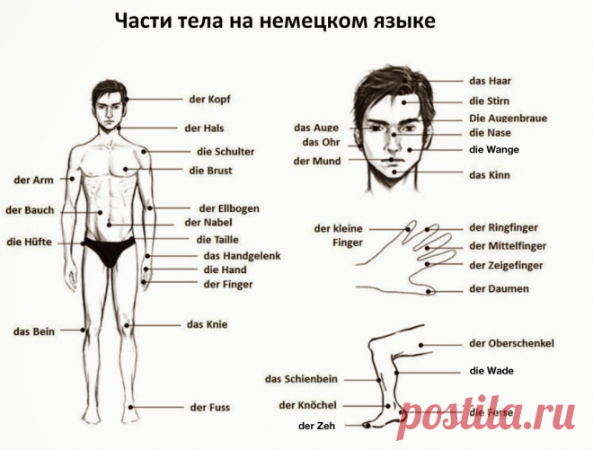 Новости