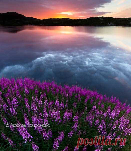 Кольский полуостров, Россия. Автор фото: Любовь Трифонова.