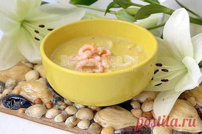 Как приготовить суп с креветками и сыром, рецепт с фото | Все Блюда