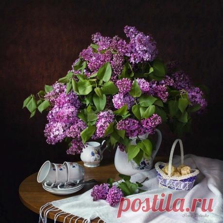 (10) Одноклассники