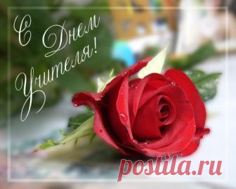 Картинки с Днем учителя 2019: поздравления, открытки, анимации, гифы - Ladiesvenue.ru Картинки с Днем учителя 2018: поздравления, трогательные стихи с Днем учителя, как красиво поздравить преподавателя с праздником 