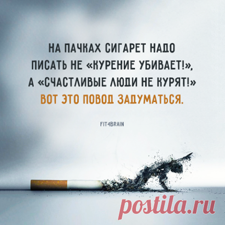 (1) Фитнес для мозга добавил(-а) новое фото. - Фитнес для мозга