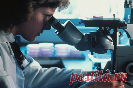 В клетках людей с COVID-19 обнаружили изменения в геноме. В клетках людей, инфицированных SARS-CoV-2, могут происходить изменения в структуре генома, способствующие нарушению в функциях иммунной системы и долговременным симптомам. Вирус вызывает дезорганизацию хроматина — генетического материала клеточного ядра — и активирует провоспалительные гены.