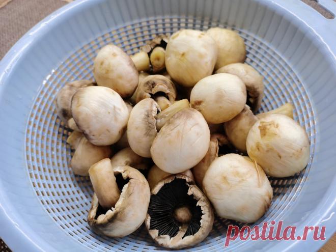 Набрал шампиньонов в Светофоре, как мне давно советовали подписчики. Делюсь мнением об этом продукте | Зоркий | Яндекс Дзен