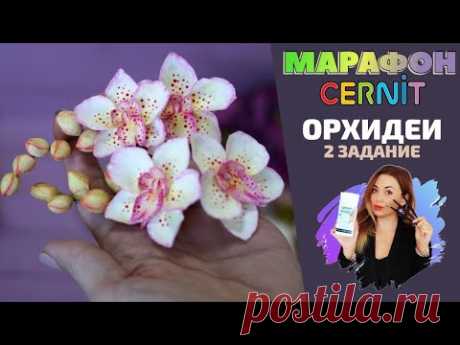 CERNIT Марафон. Второе задание | Веточка с орхидеей