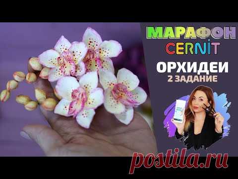 CERNIT Марафон. Второе задание | Веточка с орхидеей
