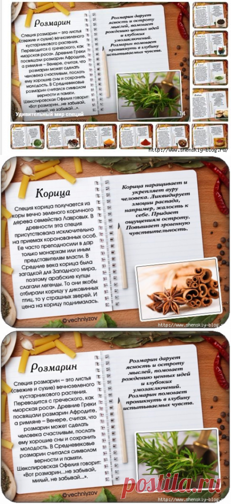 Памятка по специями!