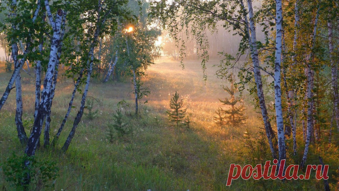 Serz — «Доброе утро!» на Яндекс.Фотках