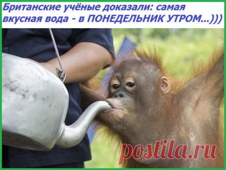 ПОГОВОРИМ ОБО ВСЕМ