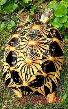 (551) Pinterest