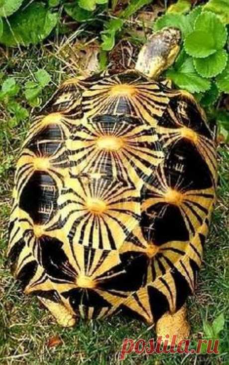 (551) Pinterest