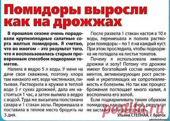 (51) Одноклассники