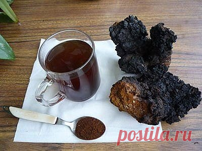 ГРИБ ЧАГА — УДИВИТЕЛЬНОЕ РАСТЕНИЕ, ЧУДО ПРИРОДЫ ГРИБ ЧАГА — УДИВИТЕЛЬНОЕ РАСТЕНИЕ, ЧУДО ПРИРОДЫ. Чагу трудно перехвалить, в ней много действующих веществ, весьма ценных. Например, макро и микро элементы, такие как калий, марганец, железо, цинк.Пока…