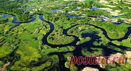Беларусь,река Припять:Полесская Амазония!