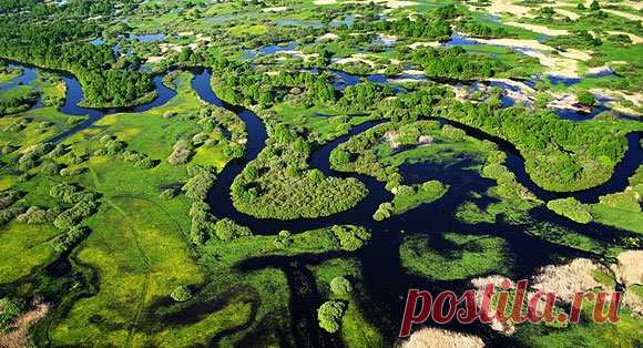 Беларусь,река Припять:Полесская Амазония!
