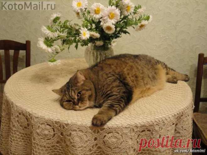 Где хочу, там и лежу