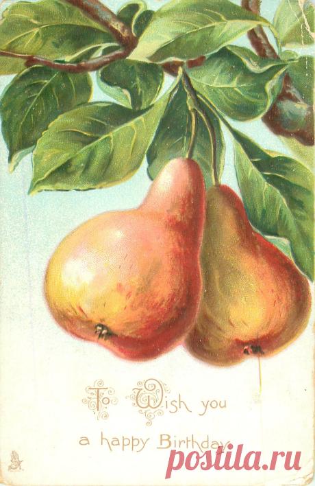 Коллекция картинок: Антикварные открытки от Cathеrine Klein.Фруктово-ягодное