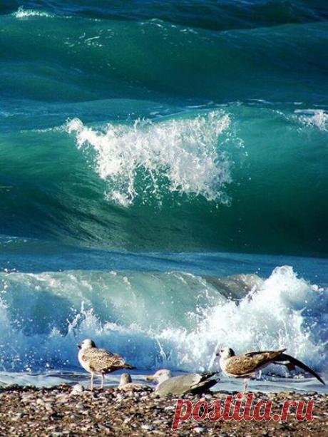 (5) Светлана Майстрова