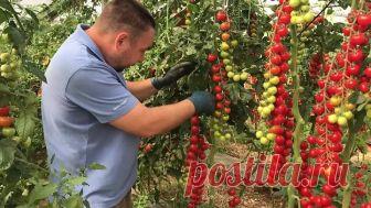 Подписывайтесь на 