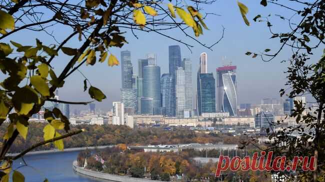 Первые заморозки ударили в Москве ночью во вторник