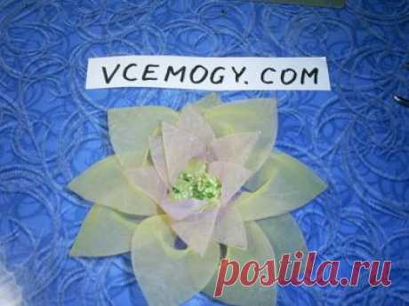Гильоширование своими руками.Vcemogy.com - Мир мастеров и мастерства