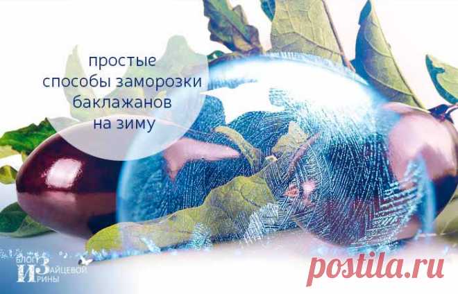 Как заморозить баклажаны на зиму в морозилке. Советы и способы заготовки | Блог Ирины Зайцевой