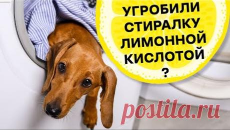УХОД ЗА СТИРАЛЬНОЙ МАШИНОЙ: ПОСЛЕДСТВИЯ ИСПОЛЬЗОВАНИЯ ЛИМОННОЙ КИСЛОТЫ, УКСУСА, ХЛОРКИ,