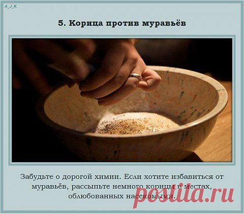 (65) Одноклассники