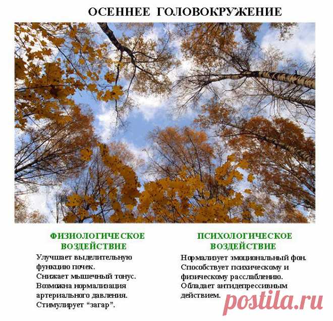 Целительные фотографии.
